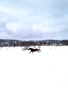 ApaLuza - Góry Izerskie & Karkonosze - 1