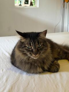 Casa dos Artistas na Natureza com varanda - 7