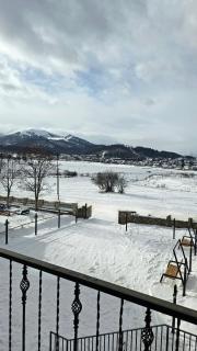 Bakuriani apartment 205 Tsakadze st 20 - 5