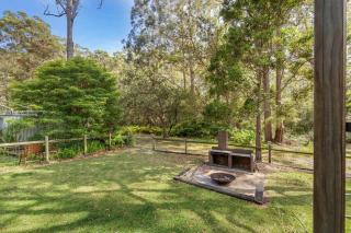 Bush Baby at Blenheim Beach Vincentia - 5