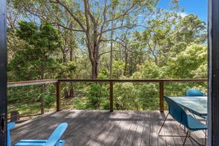 Bush Baby at Blenheim Beach Vincentia - 4