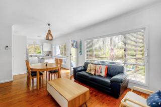 Bush Baby at Blenheim Beach Vincentia - 1