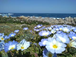 Casa en Punta de Tralca para seis personas - 3