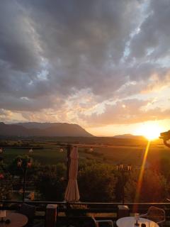 Nature Nest Bran - Adults Only - 9