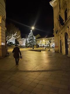 Central Pécs Bea&Tom - 9