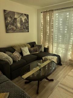 Sweetlapland homes - 8