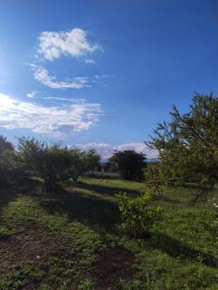 Las Calandrias II - 9