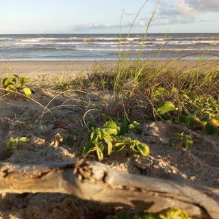 Casa Praia da Costa - 1