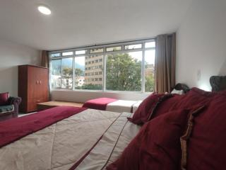 La Candelaria Centro Histórico - Cozy Room Bogotá - 3