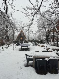 Cottage Tetra Kutaisi Tskaltubo - 8