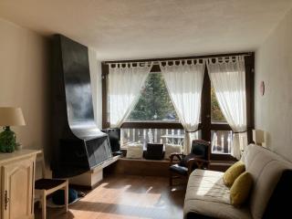 Location d'un studio chaleureux au pied des pistes - 0