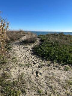 Rez de Jardin Piscine et Plage - 9