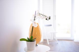 Modern Apartment with Terrace & Free Parking - 2