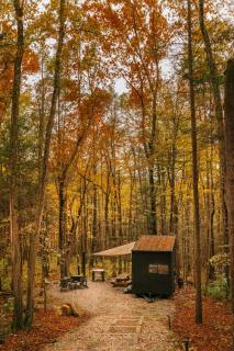 Postcard Cabins Machimoodus, Outdoor Collection by Marriott Bonvoy - 4