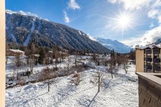 Résidence Grand Roc - Bruyères 211 - Happy Rentals - 9