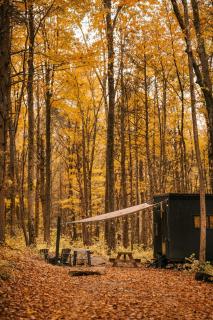 Postcard Cabins Machimoodus, Outdoor Collection by Marriott Bonvoy - 3