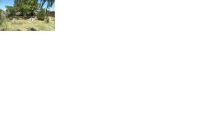 Hostel Las Bardas - 4