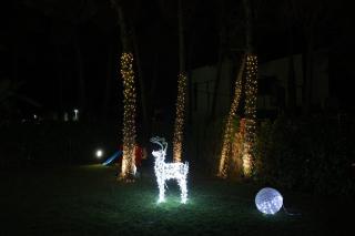 Peonia Villa ValaMar - 1