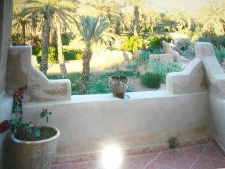 La maison de palmeraie - 8