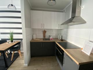 Apartament w centrum Szczecina - 9