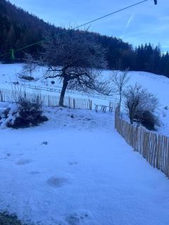 Ferienwohnung Storck - 1