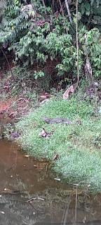 Posada del Mar Bahía Solano - 4