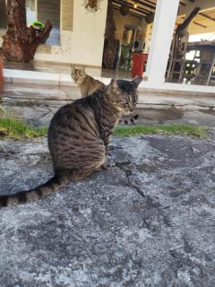 Casa Punta Chame - 3