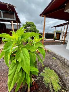 Imagination Studio Home - 1