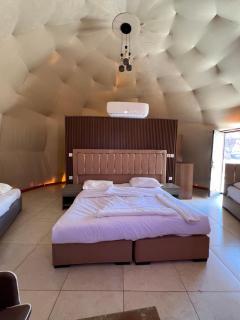 Princess luxury camp - 3