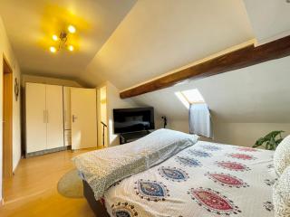 Dudelange City Centre Loft - 2 Furnished Rooms - 3