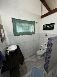 Mono Azul Cahuita - 5