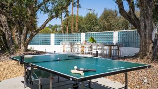 The Monkey Tree Hotel Buyout by AvantStay Entire Hotel Buyout Funky Rooms w Modern Amenities - 3