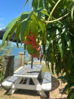 LaVista Antigua- Whole Property Rental - 7