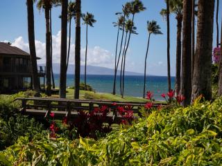 Wailea Elua Village 905 - 9