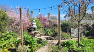 Downtown 3BR Near UC Davis Pet-Friendly - 6