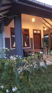 Wild Night Hostel Sigiriya - 0