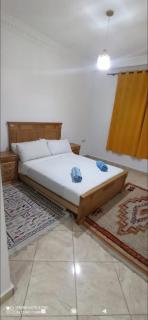 Apricot and spacious apartment - 0