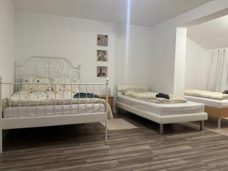 Cozy and bright single-family home - 7