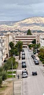 Les Palmiers de l ile Jacob - 9