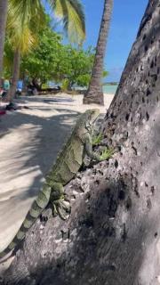 Studio Tout Confort Face à la Mer, Marina St François - 8
