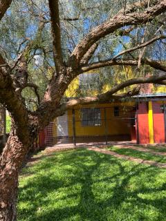 Eucalipto Dúplex - 6