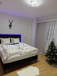 Arctic Snow Rovaniemi - 0