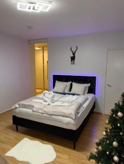 Arctic Snow Rovaniemi - 8