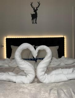 Arctic Snow Rovaniemi - 5