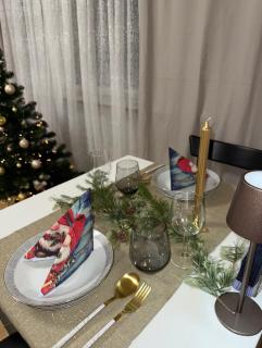 Arctic Snow Rovaniemi - 6