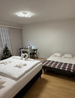 Arctic Snow Rovaniemi - 7