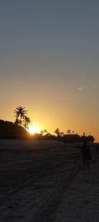 Beach Place Ap 202 - 9