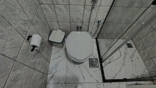 Charmosinho tropical - 1