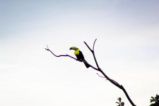 Peaceful Hillside Villa with Stunning Views - 5