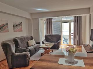 Apartment Businoski - 0